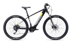 CTM PULZE (29") 2022