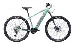 CTM PULZE XPERT (29") 2022