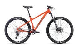 CTM ZEPHYR XPERT 29 2023

