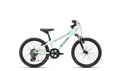 CTM JERRY 2.0 - pastelov� zelen� 11