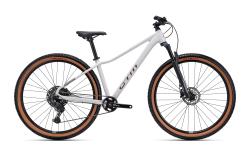 CTM CHARISMA 3.0 29 - matn� svetlo�ed� / leskl� meden� L