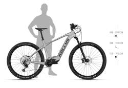 Obr�zok (1)